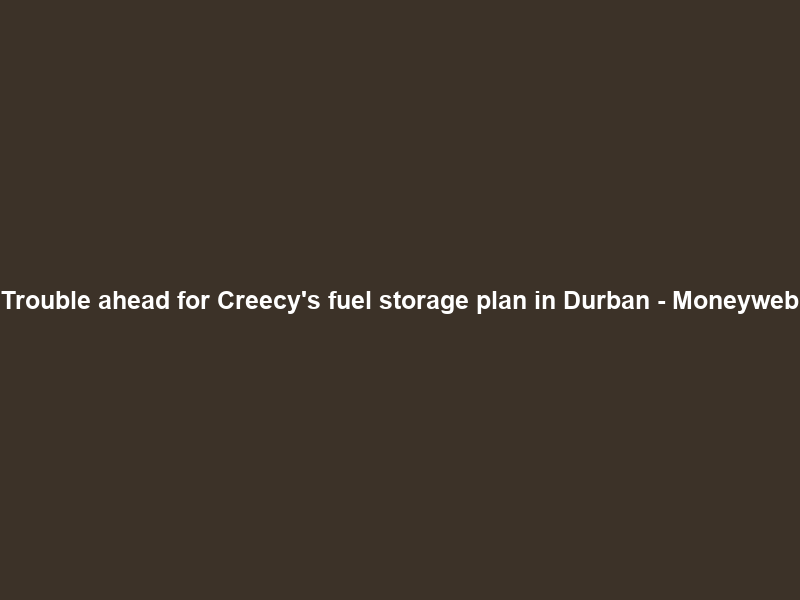 Trouble ahead for Creecy’s fuel storage plan in Durban – Moneyweb