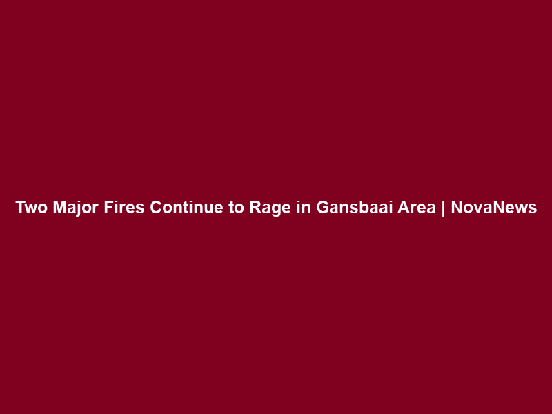 Two Major Fires Continue to Rage in Gansbaai Area | NovaNews