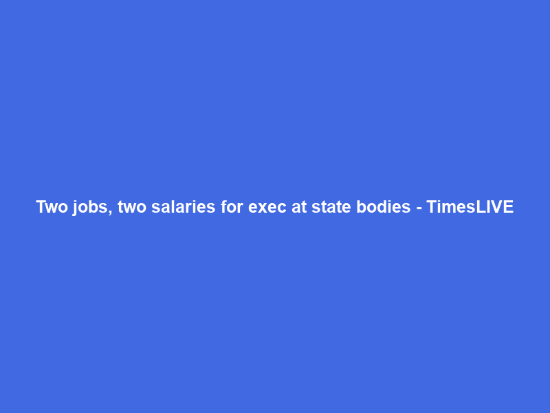 Two jobs, two salaries for exec at state bodies – TimesLIVE
