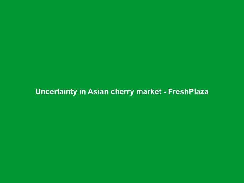 Uncertainty in Asian cherry market – FreshPlaza