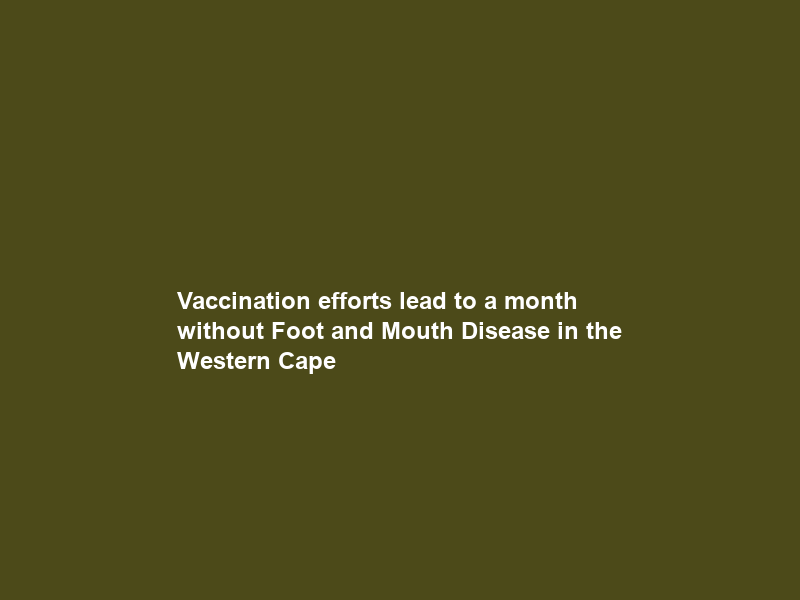 Vaccination efforts lead to a month without Foot and Mouth Disease in the Western Cape