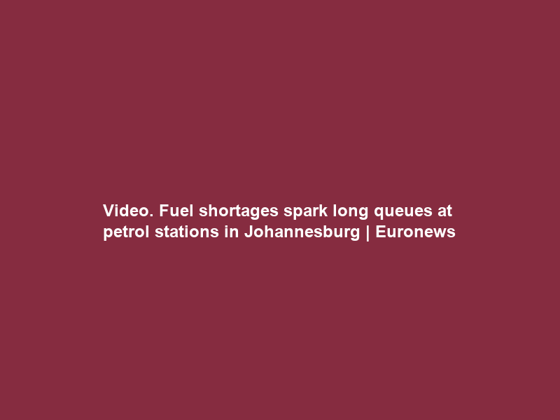 Video. Fuel shortages spark long queues at petrol stations in Johannesburg | Euronews