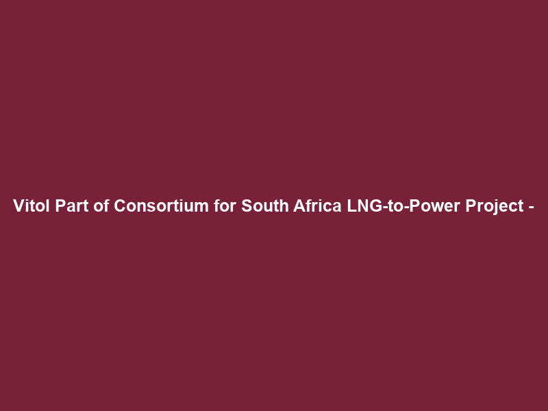 Vitol Part of Consortium for South Africa LNG-to-Power Project –