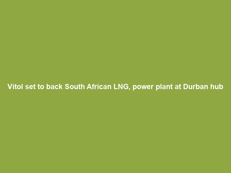 Vitol set to back South African LNG, power plant at Durban hub