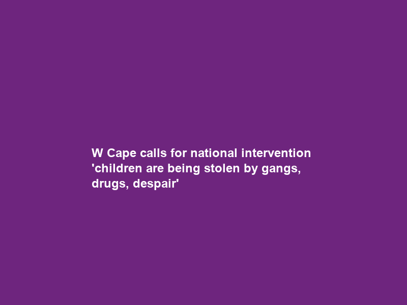 W Cape calls for national intervention — ‘children are being stolen by gangs, drugs, despair’