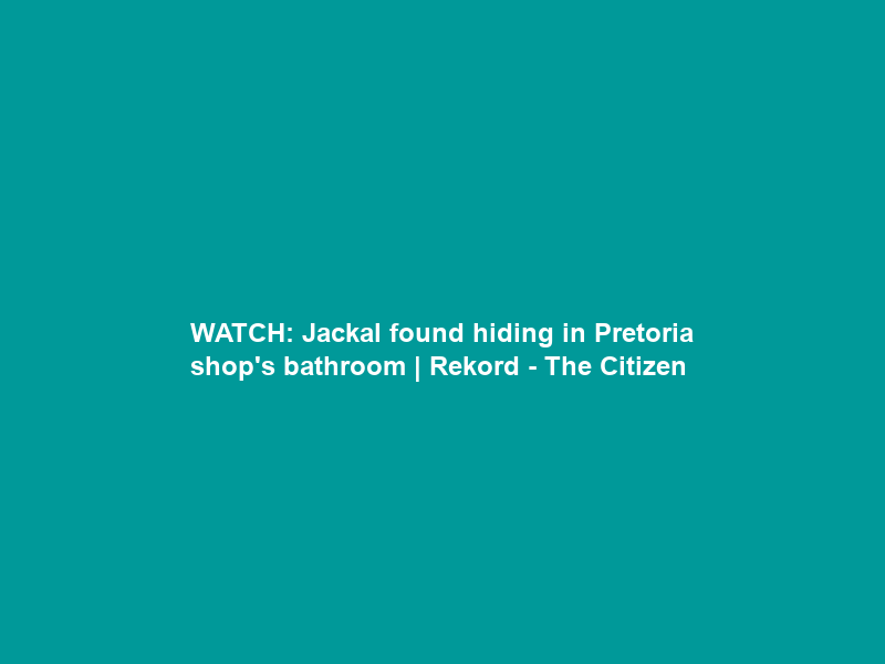 WATCH: Jackal found hiding in Pretoria shop’s bathroom | Rekord – The Citizen