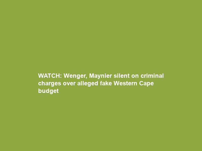 WATCH: Wenger, Maynier silent on criminal charges over alleged fake Western Cape budget