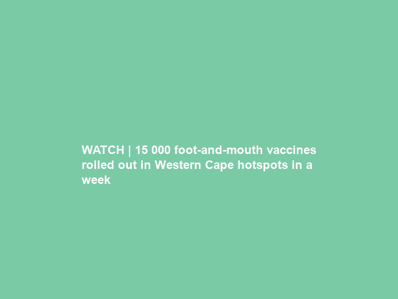 WATCH | 15 000 foot-and-mouth vaccines rolled out in Western Cape hotspots in a week