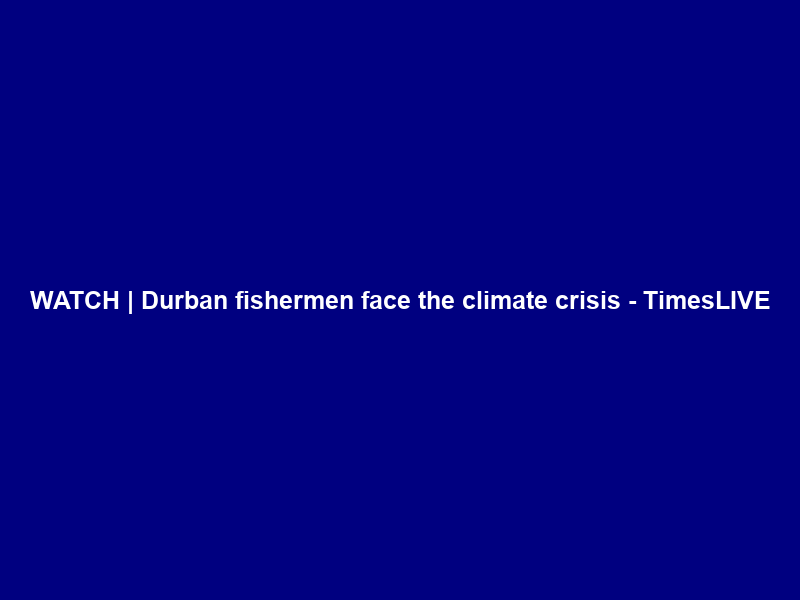 WATCH | Durban fishermen face the climate crisis – TimesLIVE
