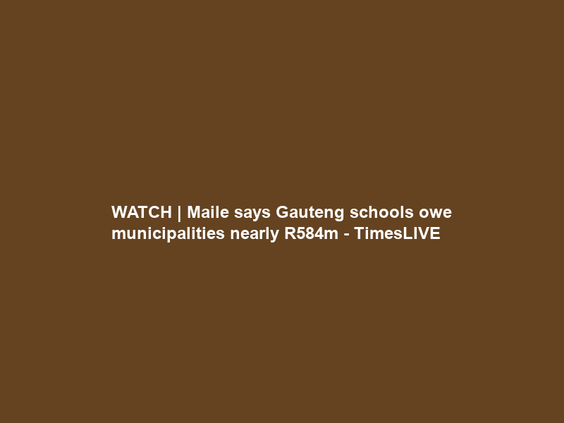 WATCH | Maile says Gauteng schools owe municipalities nearly R584m – TimesLIVE