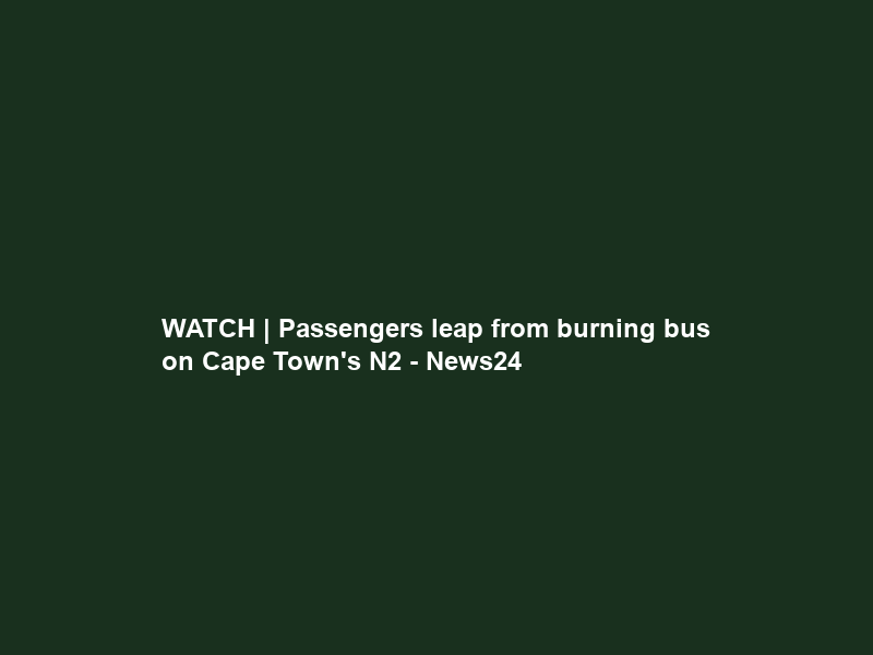 WATCH | Passengers leap from burning bus on Cape Town’s N2 – News24