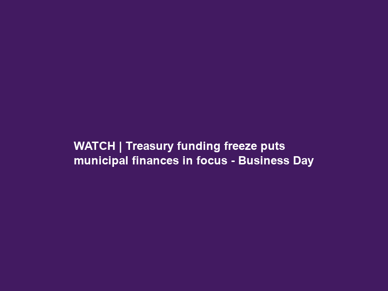 WATCH | Treasury funding freeze puts municipal finances in focus – Business Day