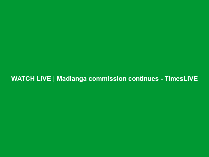 WATCH LIVE | Madlanga commission continues – TimesLIVE