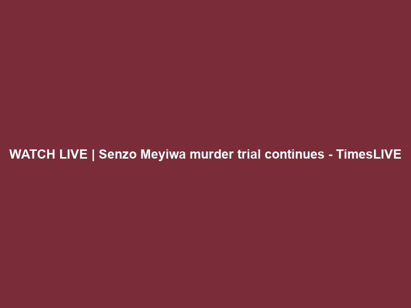 WATCH LIVE | Senzo Meyiwa murder trial continues – TimesLIVE