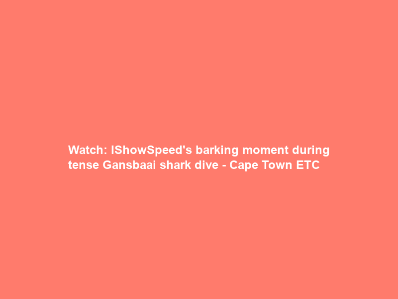 Watch: IShowSpeed’s barking moment during tense Gansbaai shark dive – Cape Town ETC