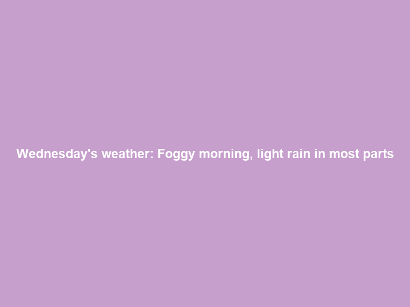 Wednesday’s weather: Foggy morning, light rain in most parts; partly cloudy, cool in Gauteng