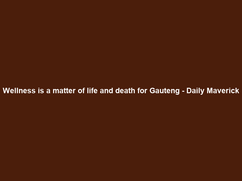 Wellness is a matter of life and death for Gauteng – Daily Maverick