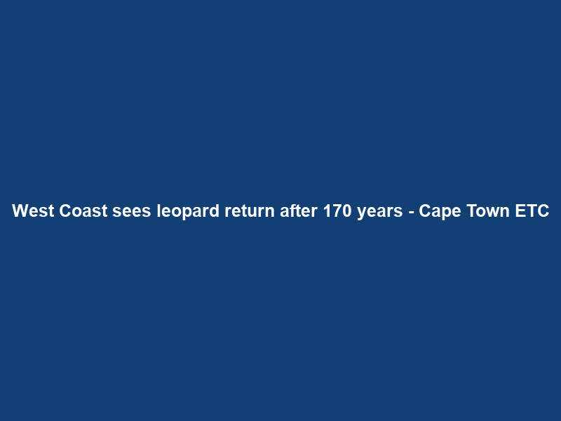 West Coast sees leopard return after 170 years – Cape Town ETC