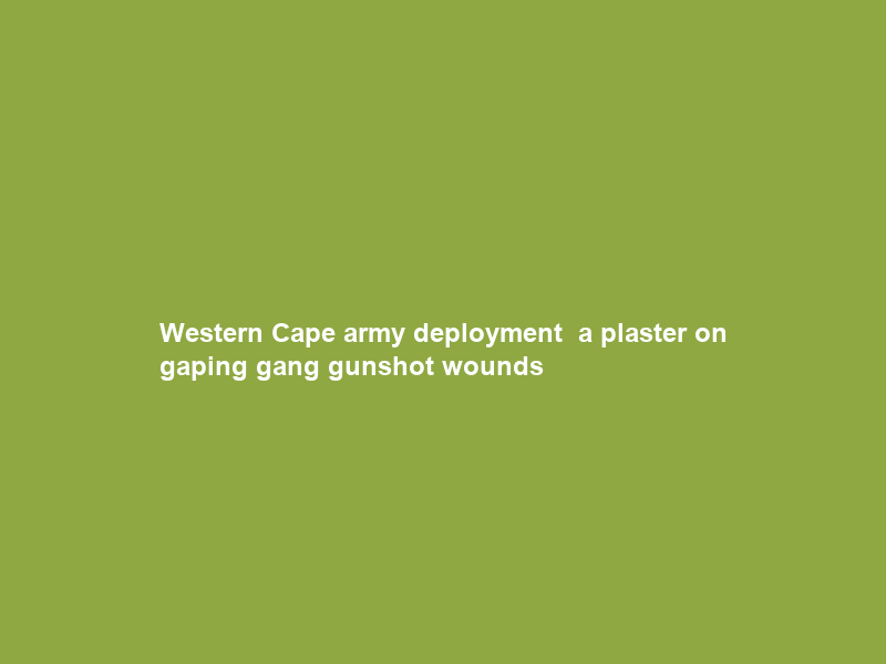 Western Cape army deployment — a plaster on gaping gang gunshot wounds