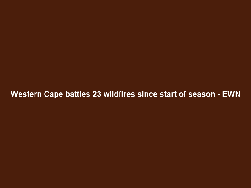 Western Cape battles 23 wildfires since start of season – EWN