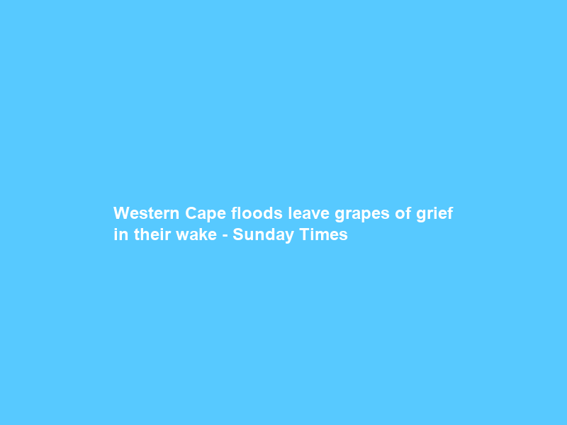 Western Cape floods leave grapes of grief in their wake – Sunday Times