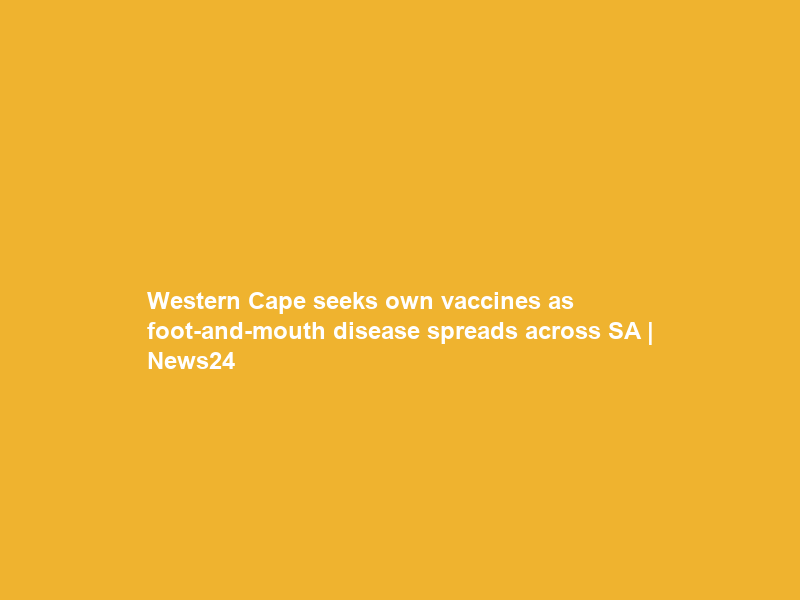 Western Cape seeks own vaccines as foot-and-mouth disease spreads across SA | News24