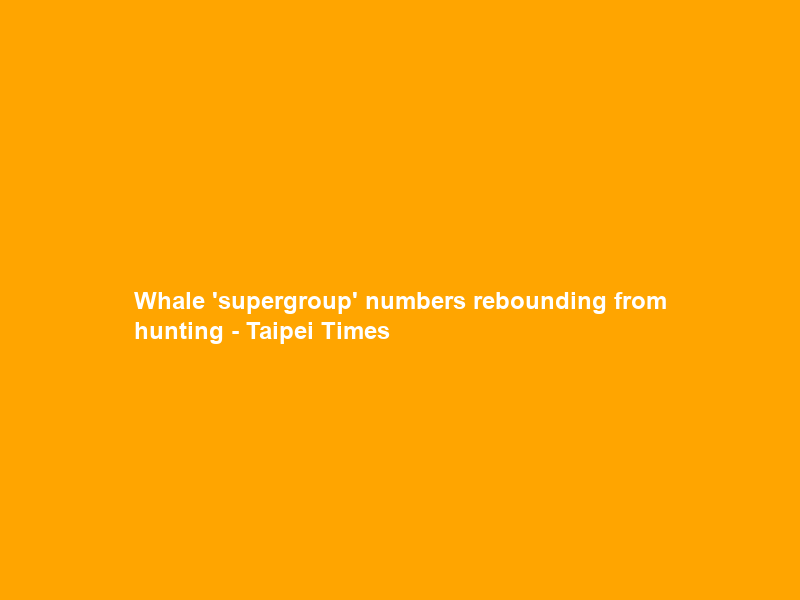 Whale ‘supergroup’ numbers rebounding from hunting – Taipei Times