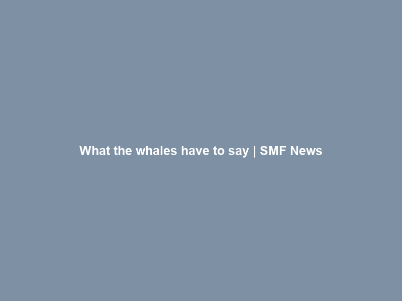 What the whales have to say | SMF News