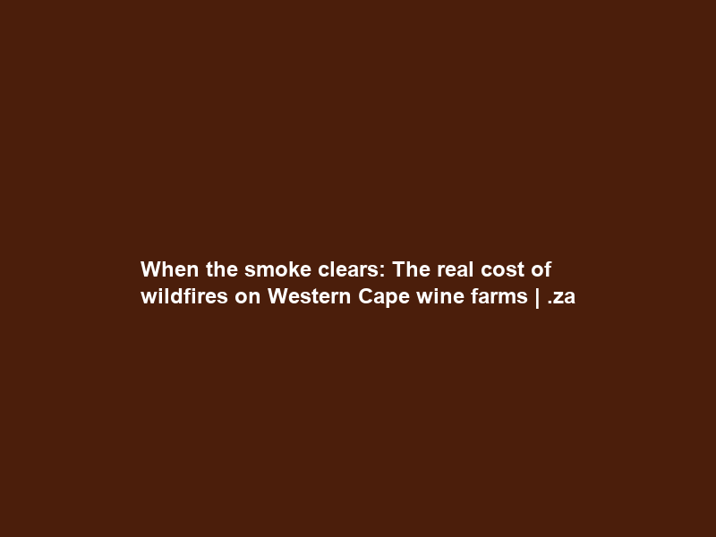 When the smoke clears: The real cost of wildfires on Western Cape wine farms | .za