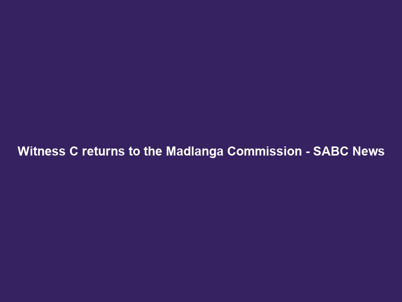 Witness C returns to the Madlanga Commission – SABC News