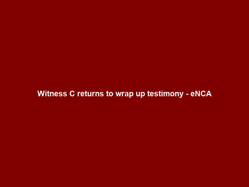Witness C returns to wrap up testimony – eNCA