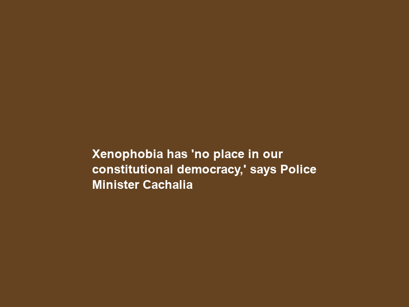 Xenophobia has ‘no place in our constitutional democracy,’ says Police Minister Cachalia