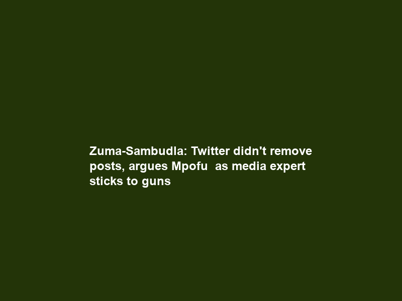 Zuma-Sambudla: Twitter didn’t remove posts, argues Mpofu – as media expert sticks to guns
